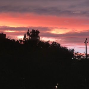 Meet your Posher, Amelia